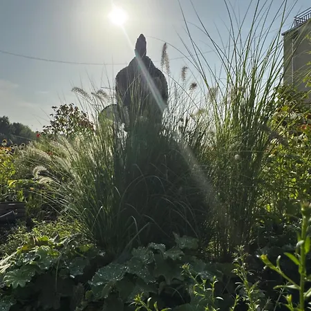 Fair N Square 24 Stunden Self-check In Darmstadt