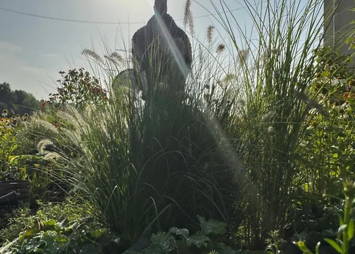 Fair N Square 24 Stunden Self-check In Darmstadt